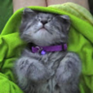 Meet your Posher, Eric and sara